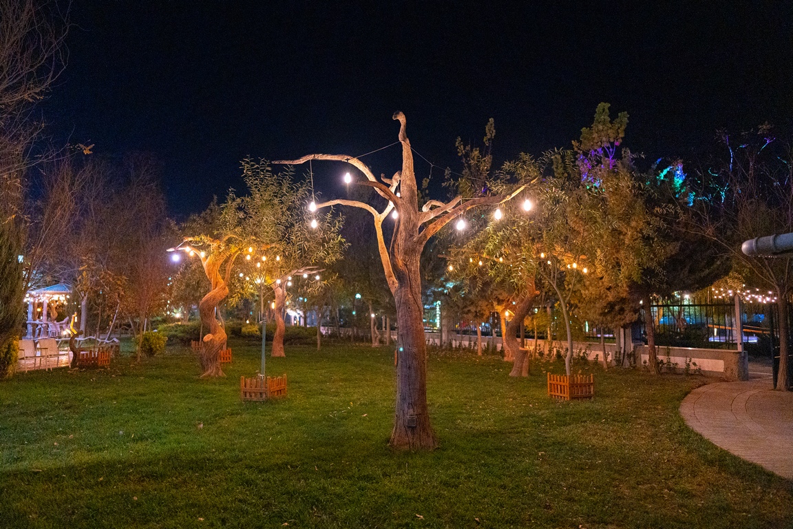 gallery-3